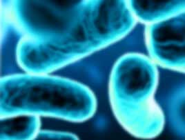 Services | Legionella Services