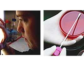 Services | Water Analysis