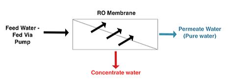 Single Pass Reverse Osmosis System