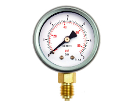 Stainless Steel Pressure Gauge Dry