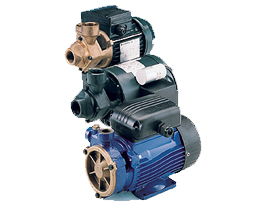 Lowara P PSA Pumps