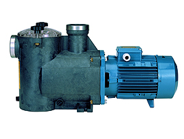 Calpeda Pumps | Compact Pool Pumps | 240v