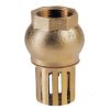 Brass Foot Valve + Strainer
