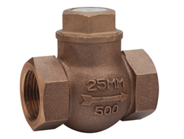 Bronze Check Valve - PN32