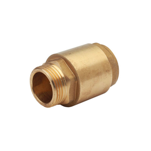 Spring check valve