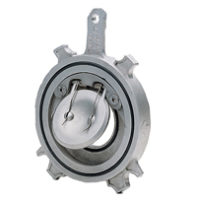 Spring Check Valve - Wafer Type