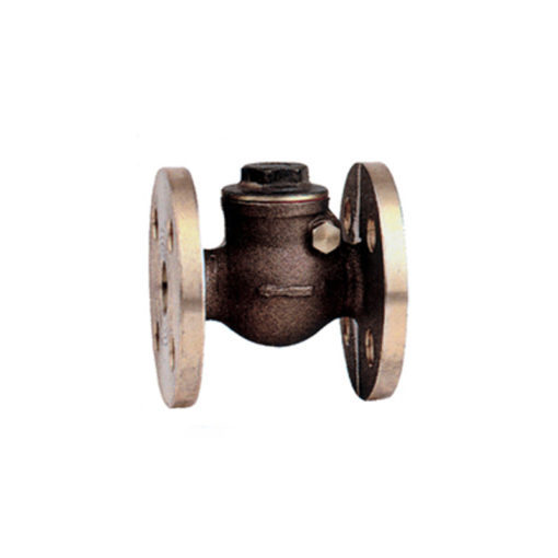 Flanged Check Valve PN16