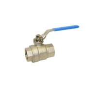 Stainless Steel Ball Valve – Two Piece – Lever Operated