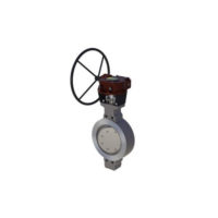 Stainless Steel High Performance Butterfly Valve – Wafer Type – Stainless Steel Disc – RPTFE Seat