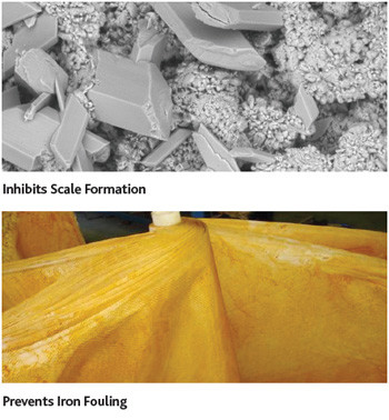 Reverse Osmosis Membrane Cleaning Chemicals