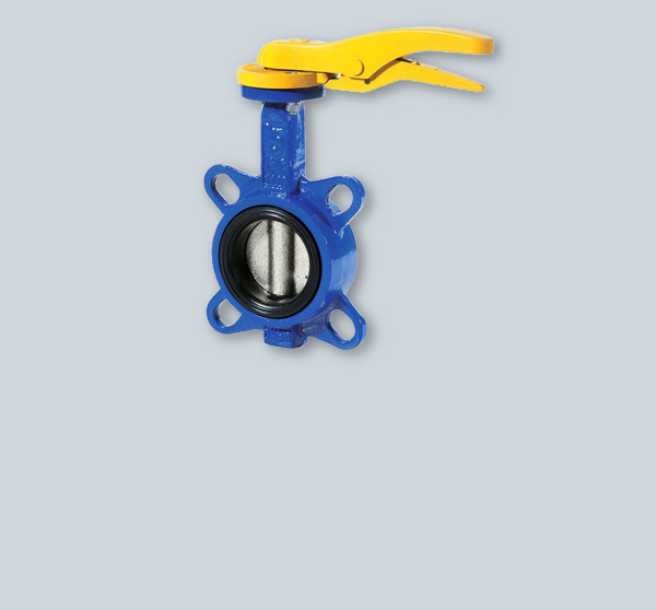 Butterfly Valves Featured