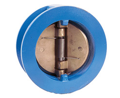 Double Plate Check Valves