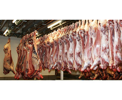 Industrial Wastewater Treatment - Abattoir Industry