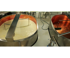 Industrial Wastewater Treatment - Food Processing Industry