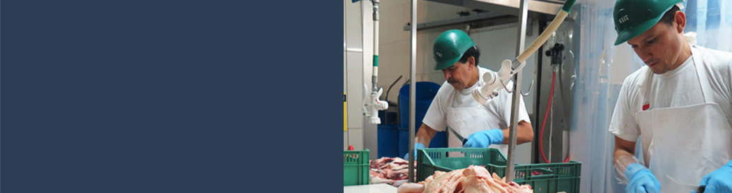 Industrial Wastewater - Meat Processing Industry