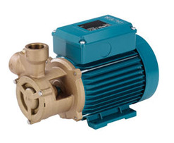 Calpeda Peripheral and Gear Pumps