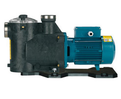 Calpeda Swimming Pool Pumps