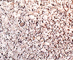Magnodol