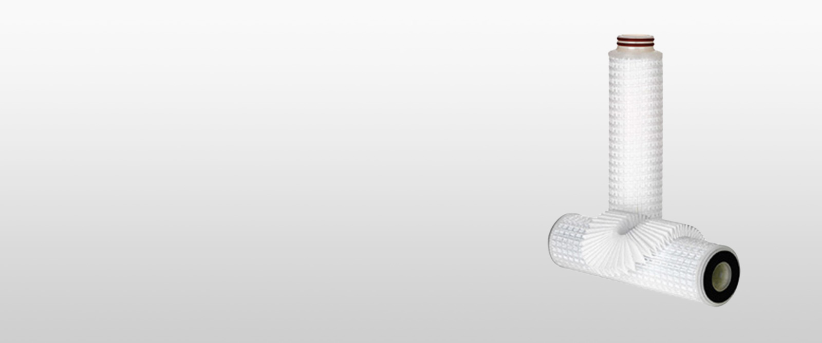 Cryptosporidium cartridge filters