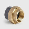 Female Brass Composite Union
