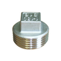 Stainless Steel Square Head Plug